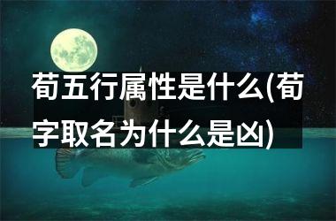 <h3>荀五行属性是什么(荀字取名为什么是凶)