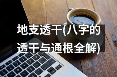 <h3>地支透干(八字的透干与通根全解)