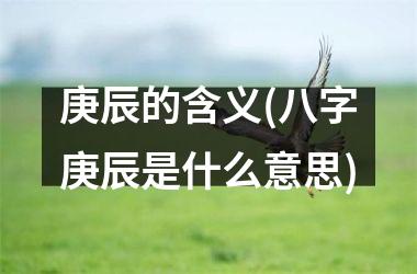 <h3>庚辰的含义(八字庚辰是什么意思)