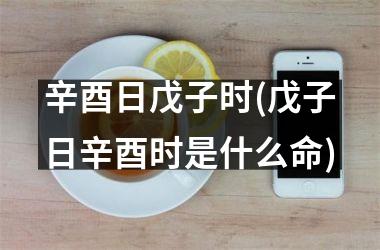 <h3>辛酉日戊子时(戊子日辛酉时是什么命)