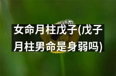 <h3>女命月柱戊子(戊子月柱男命是身弱吗)