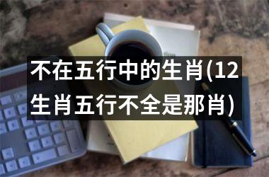 <h3>不在五行中的生肖(12生肖五行不全是那肖)
