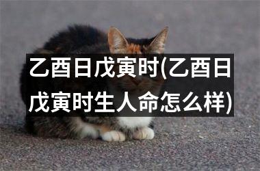 <h3>乙酉日戊寅时(乙酉日戊寅时生人命怎么样)
