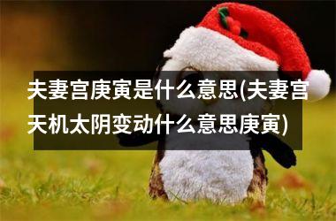 <h3>夫妻宫庚寅是什么意思(夫妻宫天机太阴变动什么意思庚寅)