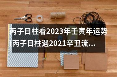 <h3>丙子日柱看2025年壬寅年运势(丙子日柱遇2025辛丑流年)