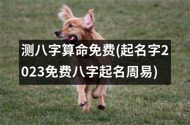 测八字算命免费(起名字2025免费八字起名周易)