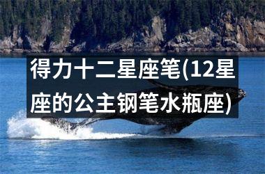 得力十二星座笔(12星座的公主钢笔水瓶座)