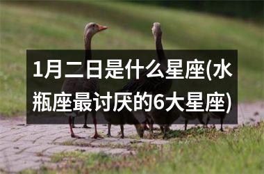 1月二日是什么星座(水瓶座最讨厌的6大星座)
