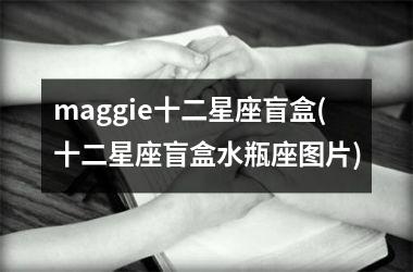 maggie十二星座盲盒(十二星座盲盒水瓶座图片)
