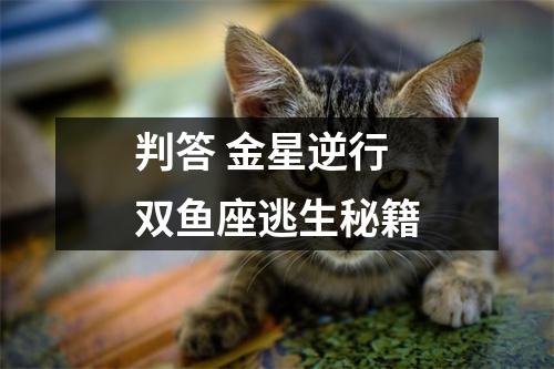 <h3>判答金星逆行双鱼座逃生秘籍