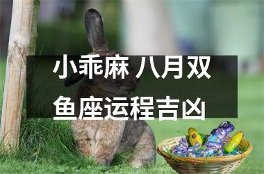 <h3>小乖麻 八月双鱼座运程吉凶