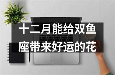 <h3>十二月能给双鱼座带来好运的花