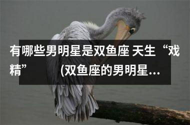 <h3>有哪些男明星是双鱼座 天生“戏精” 　　(双鱼座的男明星有哪些(人))