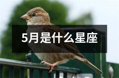 5月是什么星座