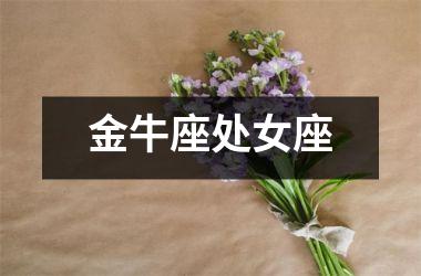 <h3>金牛座处女座