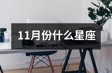 11月份什么星座