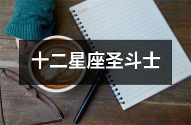 <h3>十二星座圣斗士
