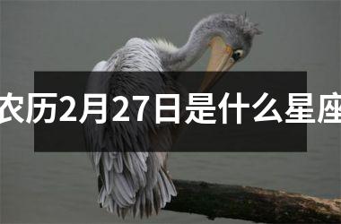 农历2月27日是什么星座