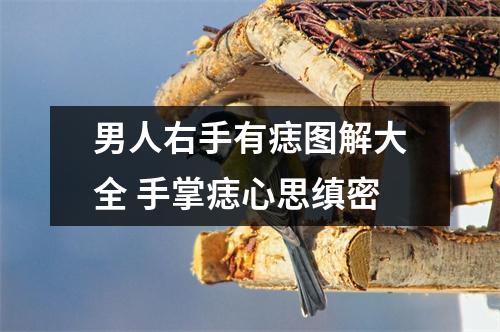 男人右手有痣图解大全手掌痣心思缜密