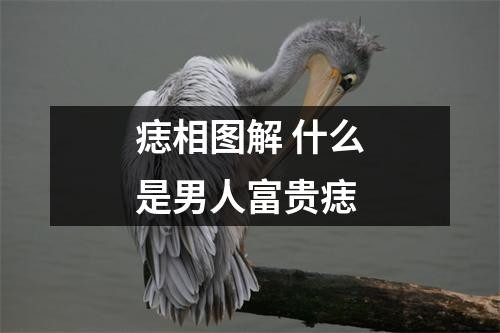 痣相图解什么是男人富贵痣