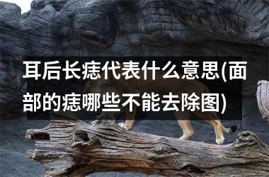 耳后长痣代表什么意思(面部的痣哪些不能去除图)