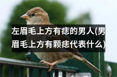 左眉毛上方有痣的男人(男眉毛上方有颗痣代表什么)