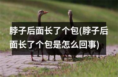 脖子后面长了个包(脖子后面长了个包是怎么回事)