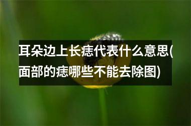 耳朵边上长痣代表什么意思(面部的痣哪些不能去除图)