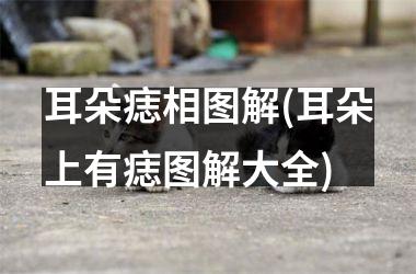 耳朵痣相图解(耳朵上有痣图解大全)