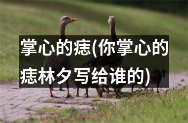 掌心的痣(你掌心的痣林夕写给谁的)