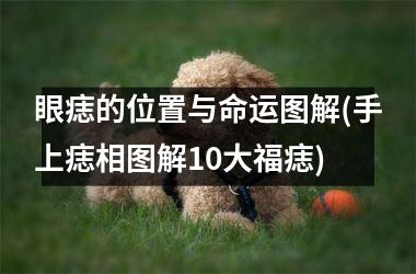 眼痣的位置与命运图解(手上痣相图解10大福痣)