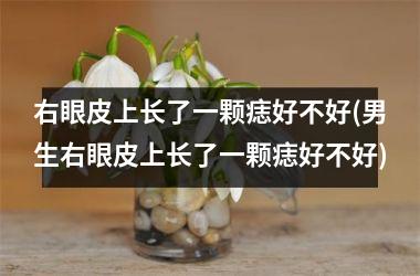 <h3>右眼皮上长了一颗痣好不好(男生右眼皮上长了一颗痣好不好)