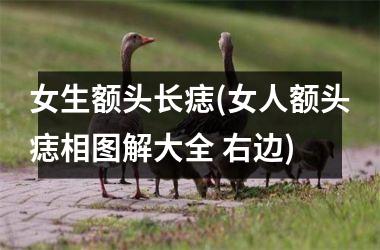 <h3>女生额头长痣(女人额头痣相图解大全 右边)