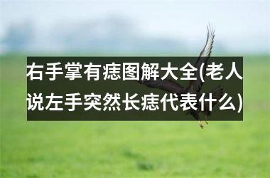 右手掌有痣图解大全(老人说左手突然长痣代表什么)