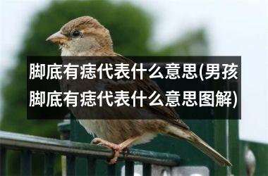 脚底有痣代表什么意思(男孩脚底有痣代表什么意思图解)