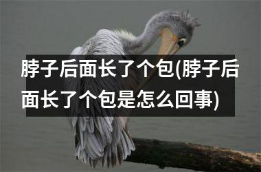 脖子后面长了个包(脖子后面长了个包是怎么回事)