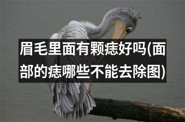 <h3>眉毛里面有颗痣好吗(面部的痣哪些不能去除图)