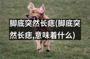 脚底突然长痣(脚底突然长痣,意味着什么)