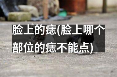 脸上的痣(脸上哪个部位的痣不能点)