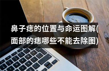 <h3>鼻子痣的位置与命运图解(面部的痣哪些不能去除图)