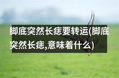 <h3>脚底突然长痣要转运(脚底突然长痣,意味着什么)