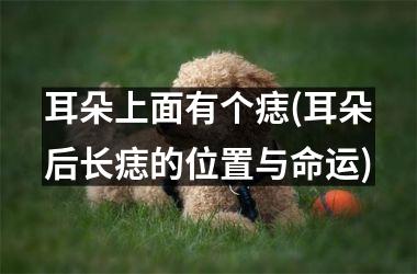 <h3>耳朵上面有个痣(耳朵后长痣的位置与命运)