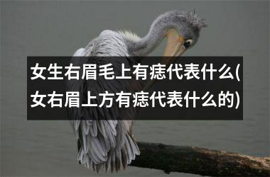 女生右眉毛上有痣代表什么(女右眉上方有痣代表什么的)