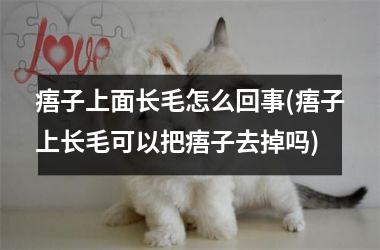 <h3>痦子上面长毛怎么回事(痦子上长毛可以把痦子去掉吗)