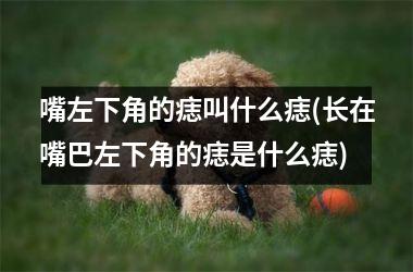 <h3>嘴左下角的痣叫什么痣(长在嘴巴左下角的痣是什么痣)