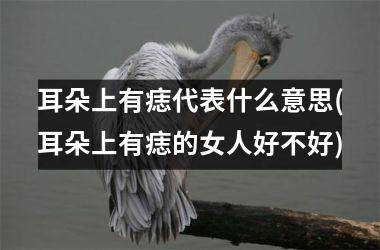 耳朵上有痣代表什么意思(耳朵上有痣的女人好不好)