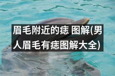 眉毛附近的痣 图解(男人眉毛有痣图解大全)