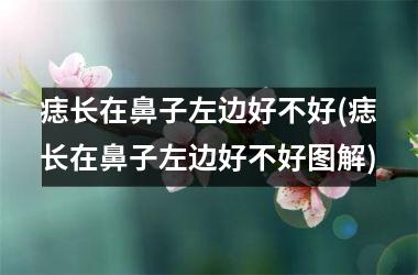 痣长在鼻子左边好不好(痣长在鼻子左边好不好图解)