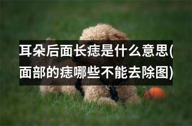 <h3>耳朵后面长痣是什么意思(面部的痣哪些不能去除图)