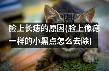 脸上长痣的原因(脸上像痣一样的小黑点怎么去除)